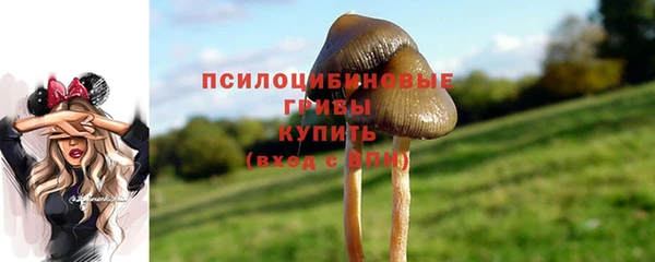 меф Алзамай